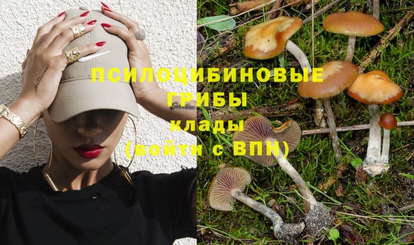 ГАЛЛЮЦИНОГЕННЫЕ ГРИБЫ Кулебаки