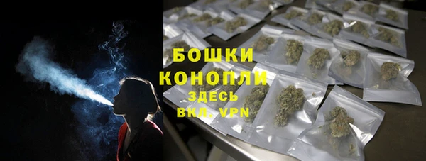 ГАЛЛЮЦИНОГЕННЫЕ ГРИБЫ Кулебаки