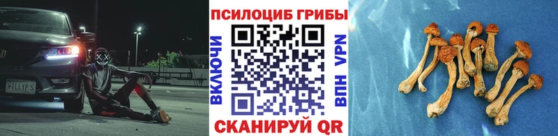 Галлюциногенные грибы прущие грибы  Купить  Гурьевск 